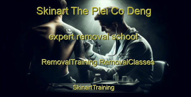 Skinart The Plei Co Deng expert removal school | #RemovalTraining #RemovalClasses #SkinartTraining-Vietnam