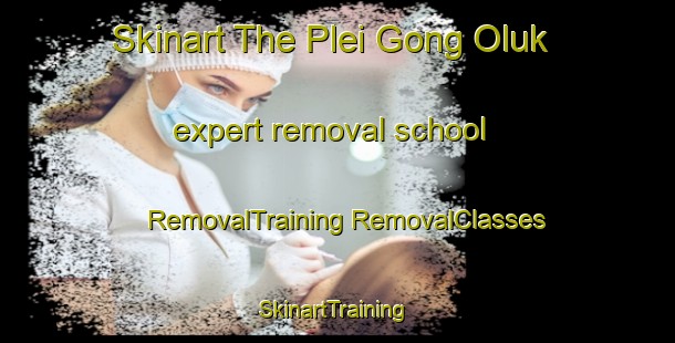 Skinart The Plei Gong Oluk expert removal school | #RemovalTraining #RemovalClasses #SkinartTraining-Vietnam