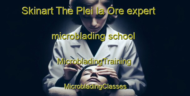 Skinart The Plei Ia Ore expert microblading school | #MicrobladingTraining #MicrobladingClasses #SkinartTraining-Vietnam