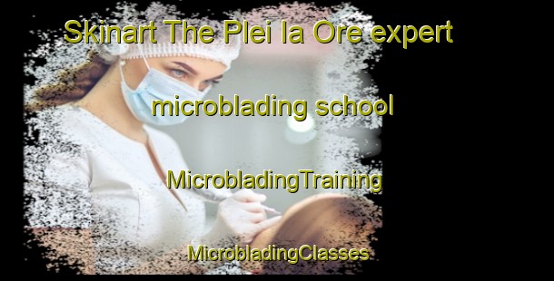 Skinart The Plei Ia Ore expert microblading school | #MicrobladingTraining #MicrobladingClasses #SkinartTraining-Vietnam