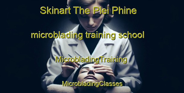 Skinart The Plei Phine microblading training school | #MicrobladingTraining #MicrobladingClasses #SkinartTraining-Vietnam