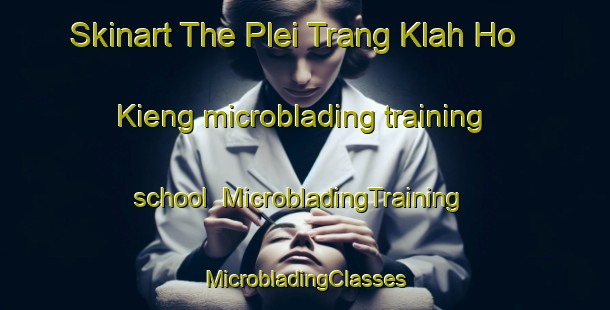 Skinart The Plei Trang Klah Ho Kieng microblading training school | #MicrobladingTraining #MicrobladingClasses #SkinartTraining-Vietnam