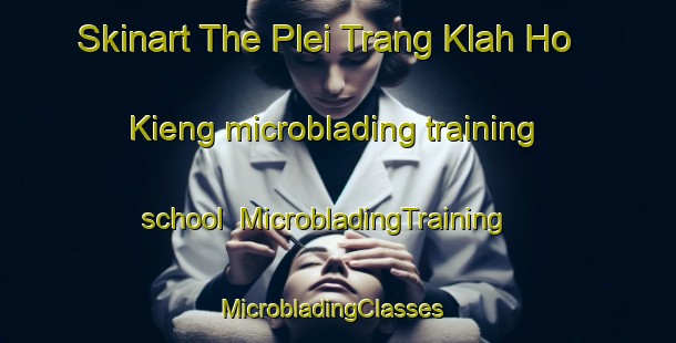 Skinart The Plei Trang Klah Ho Kieng microblading training school | MicrobladingTraining | MicrobladingClasses | SkinartTraining-Vietnam