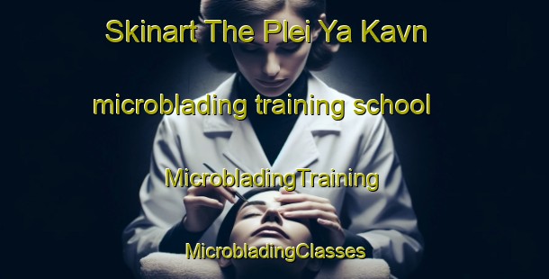 Skinart The Plei Ya Kavn microblading training school | #MicrobladingTraining #MicrobladingClasses #SkinartTraining-Vietnam