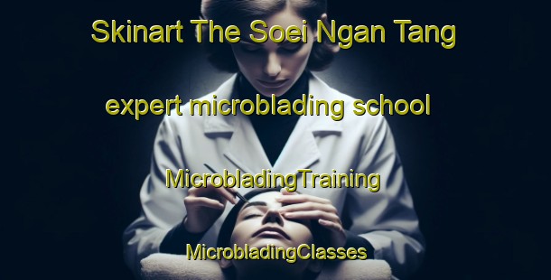 Skinart The Soei Ngan Tang expert microblading school | #MicrobladingTraining #MicrobladingClasses #SkinartTraining-Vietnam