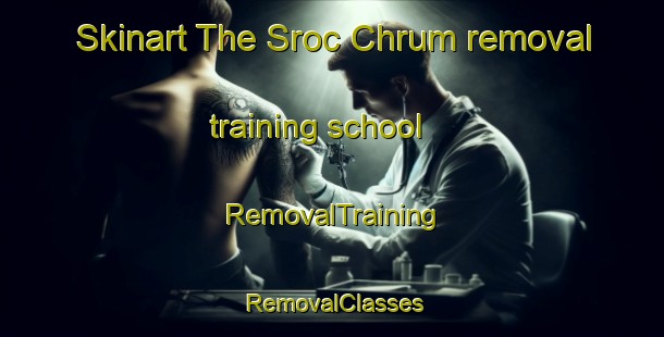 Skinart The Sroc Chrum removal training school | RemovalTraining | RemovalClasses | SkinartTraining-Vietnam