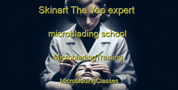 Skinart The Yop expert microblading school | #MicrobladingTraining #MicrobladingClasses #SkinartTraining-Vietnam