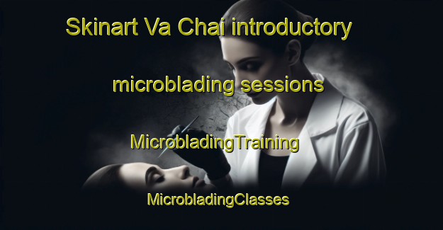Skinart Va Chai introductory microblading sessions | MicrobladingTraining | MicrobladingClasses | SkinartTraining-Vietnam