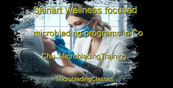Skinart Wellness-focused microblading programs in Co Chu | MicrobladingTraining | MicrobladingClasses | SkinartTraining-Vietnam