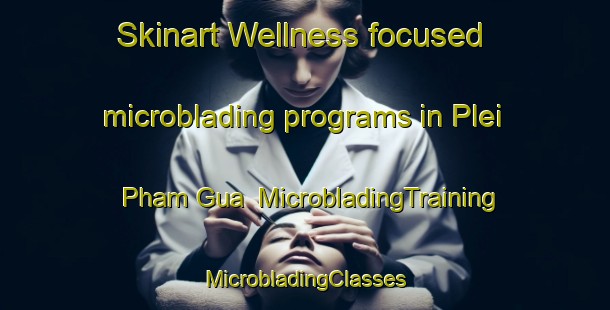 Skinart Wellness-focused microblading programs in Plei Pham Gua | #MicrobladingTraining #MicrobladingClasses #SkinartTraining-Vietnam