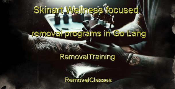 Skinart Wellness-focused removal programs in Go Lang | RemovalTraining | RemovalClasses | SkinartTraining-Vietnam