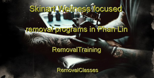 Skinart Wellness-focused removal programs in Phan Lin | RemovalTraining | RemovalClasses | SkinartTraining-Vietnam