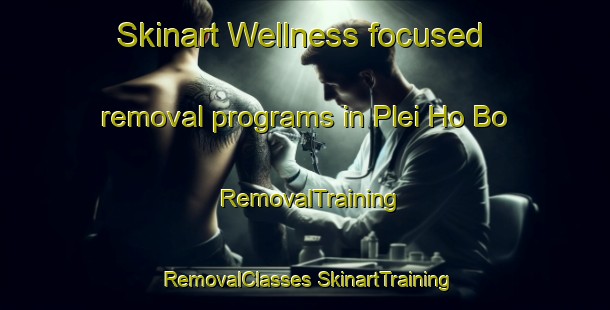 Skinart Wellness-focused removal programs in Plei Ho Bo | #RemovalTraining #RemovalClasses #SkinartTraining-Vietnam