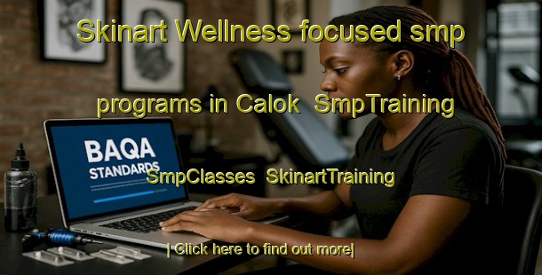 Skinart Wellness-focused smp programs in Calok | SmpTraining | SmpClasses | SkinartTraining-Vietnam
