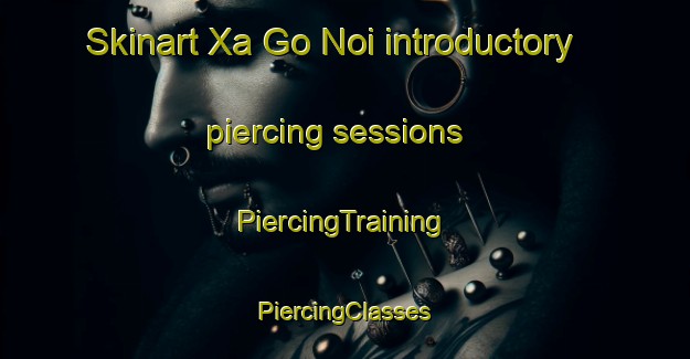 Skinart Xa Go Noi introductory piercing sessions | #PiercingTraining #PiercingClasses #SkinartTraining-Vietnam